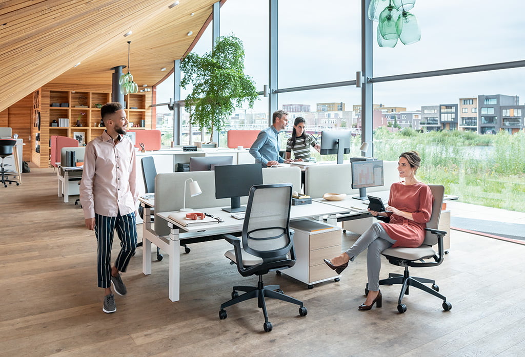 Office Concept | Sedus > se:flex ergonomic chair